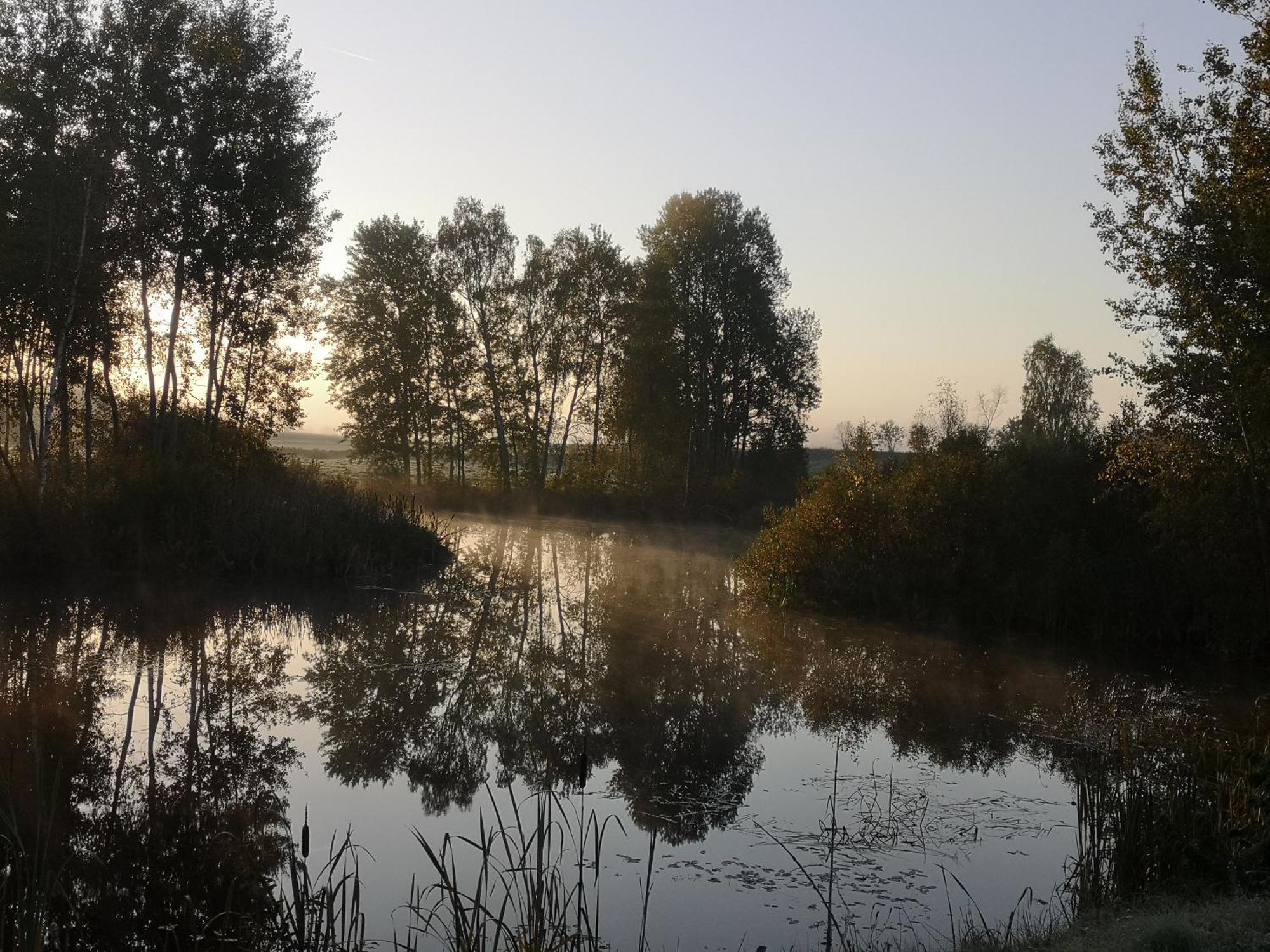 Borowy Zakatek Stara Kiszewa Exterior foto