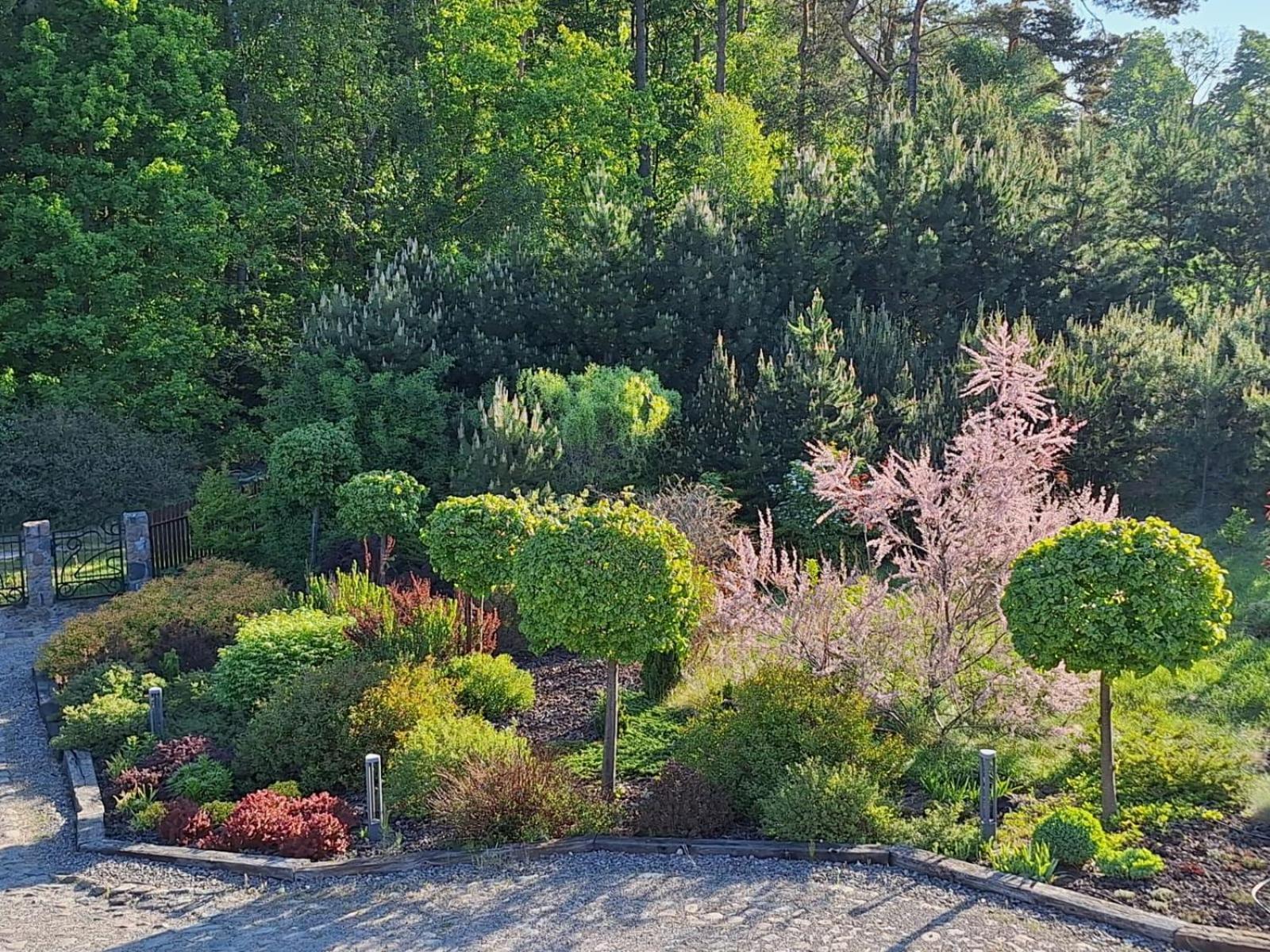 Borowy Zakatek Stara Kiszewa Exterior foto